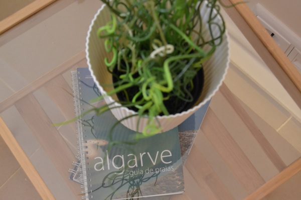 algarve guide-min